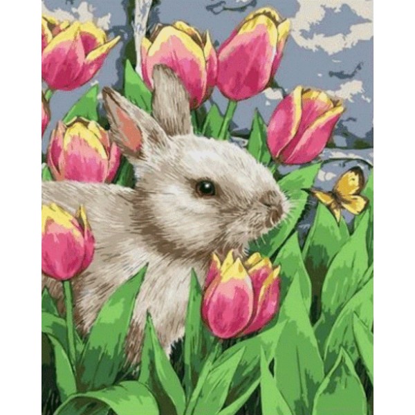 Animal Rabbit Diy Paint By Numbers Kits Australia