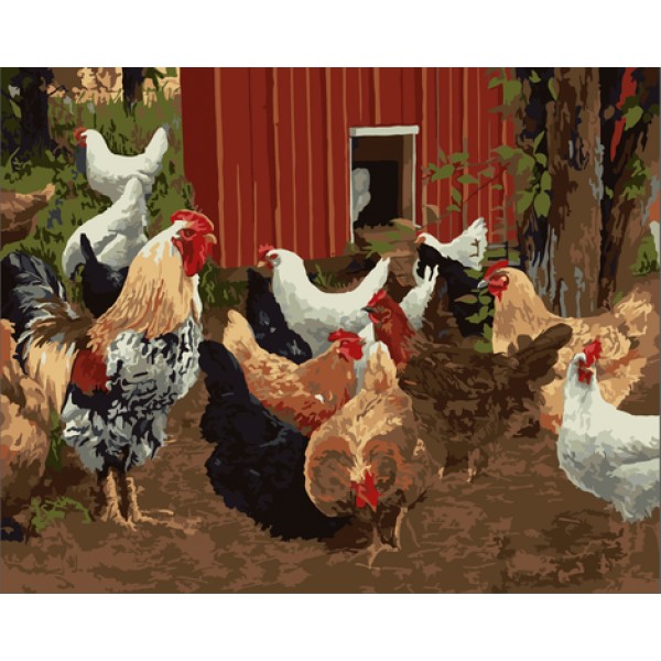 Farm Animal Cocks Diy Paint By Numbers Kits Australia
