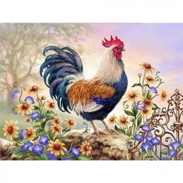Animals Cock Diy Paint By Numbers Kits Australia