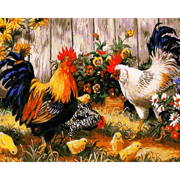 Cock Diy Paint By Numbers Kits Australia