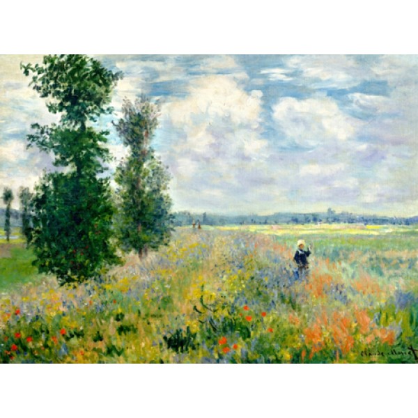 Claude Monet's Diy Paint By Numbers Kits Australia
