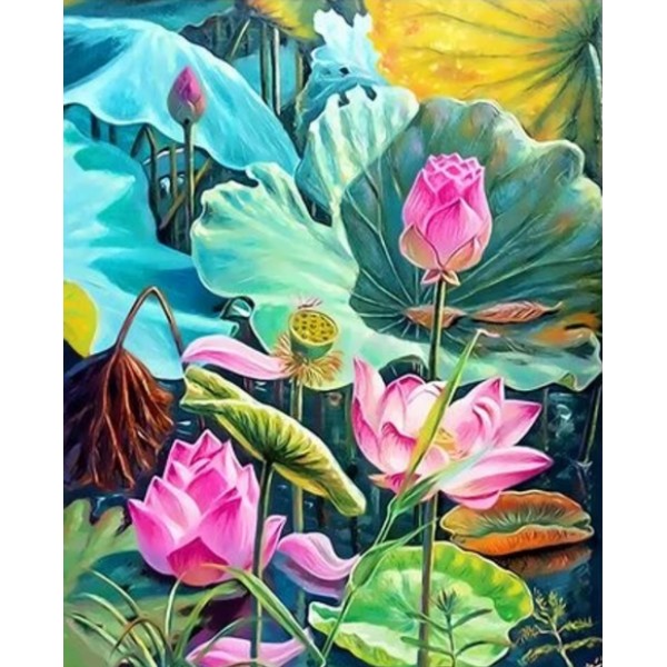 Lotus Diy Paint By Numbers Kits Australia