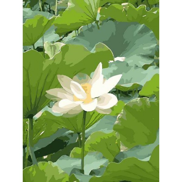 Lotus Diy Paint By Numbers Kits Australia