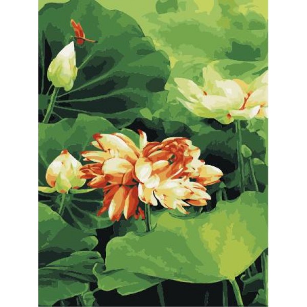 Lotus Diy Paint By Numbers Kits,PL0480 Australia