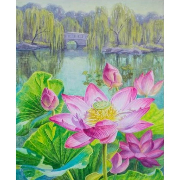 Lotus Diy Paint By Numbers Kits,PL0478 Australia