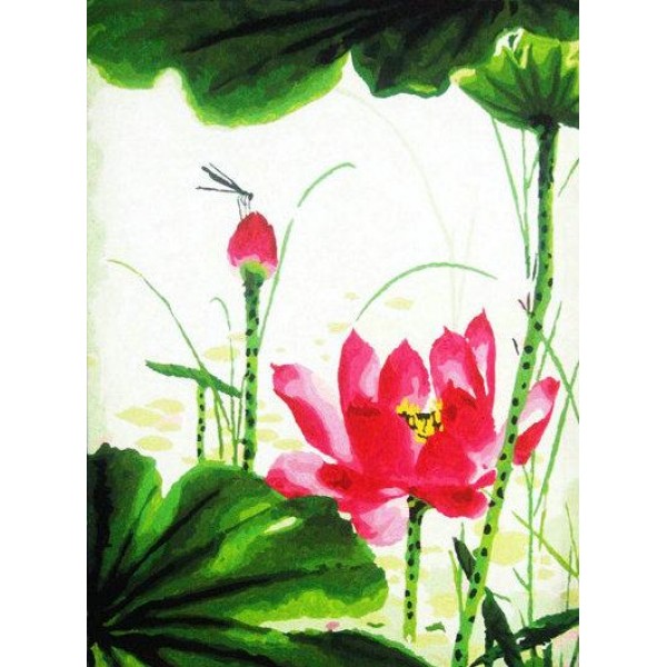 Lotus Diy Paint By Numbers Kits,PL0475 Australia