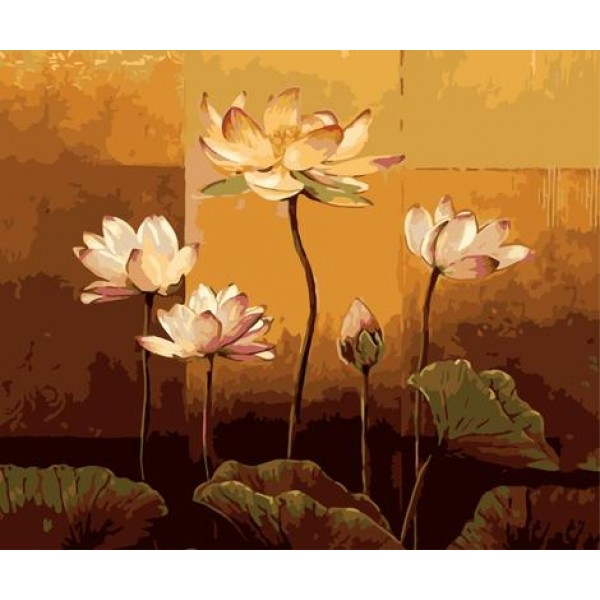 Lotus Diy Paint By Numbers Kits,PL0468 Australia
