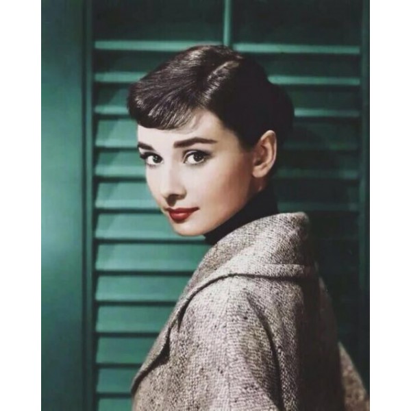 Sweet Audrey Hepburn Diy Paint By Numbers Kits Australia