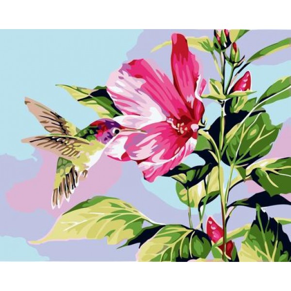 Birds And Flower Diy Paint By Numbers Kits Australia