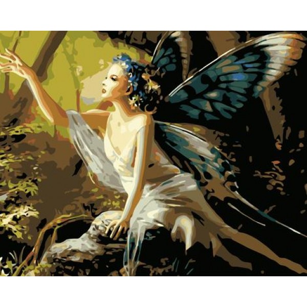 Butterfly Fairy Diy Paint By Numbers Kits Australia