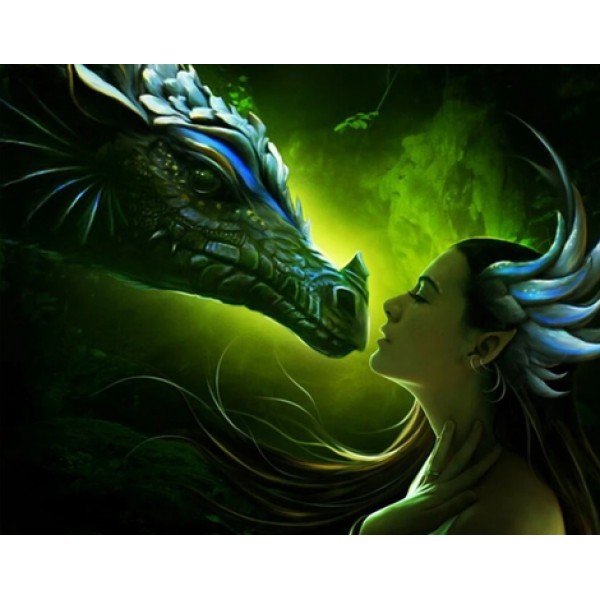 Dragon Gril Diy Paint By Numbers Kits Australia