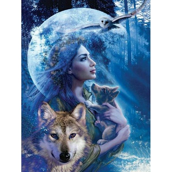Beauty And Wolf Diy Painti By Numbers Kits Australia