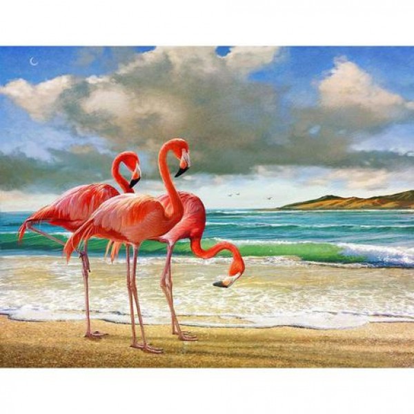 Flamingos Diy Paint By Numbers Australia