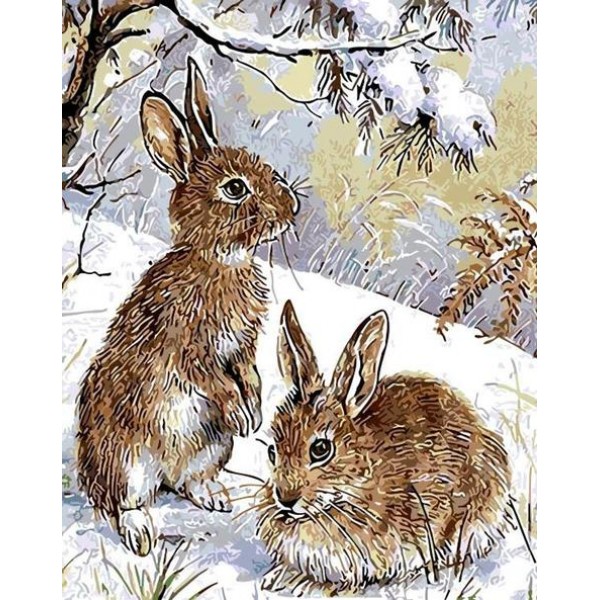 Rabbit Diy Paint By Numbers Kits Australia