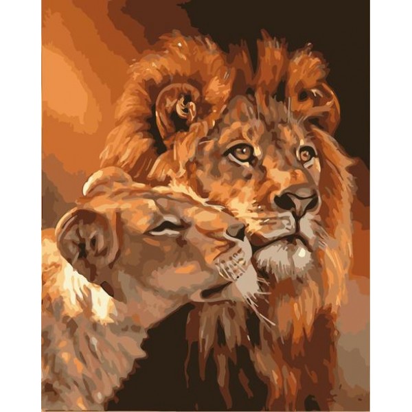 Sale Lion Diy Paint By Numbers Kits Australia