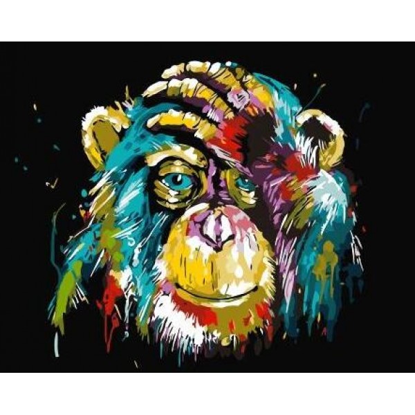 Monkey Diy Paint By Numbers Kits For Adults Australia