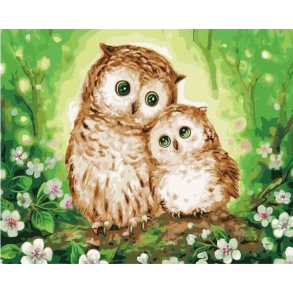 Owl Paint By Numbers Kits Uk VM90932 Australia