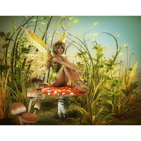 Fairy Girl Diy Paint By Numbers Kits Australia