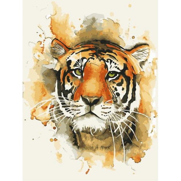 Animal Tiger Diy Paint By Numbers Kits Australia