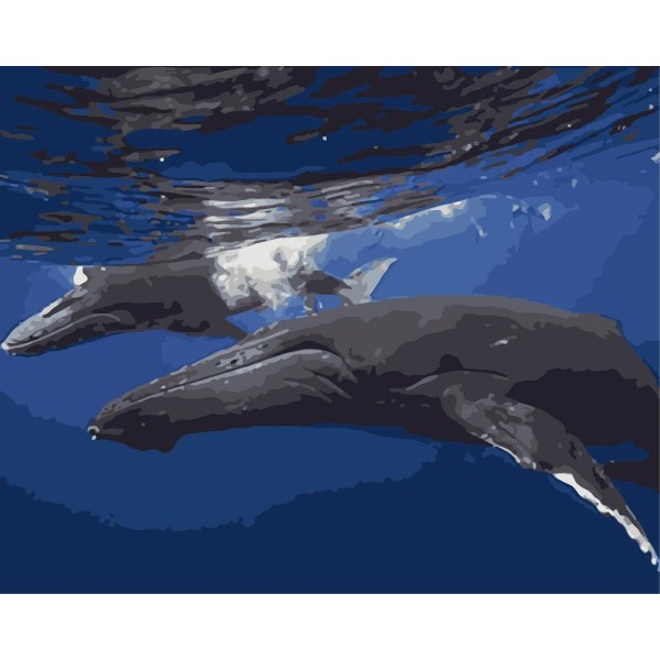 Whale Paint By Numbers Kits Australia