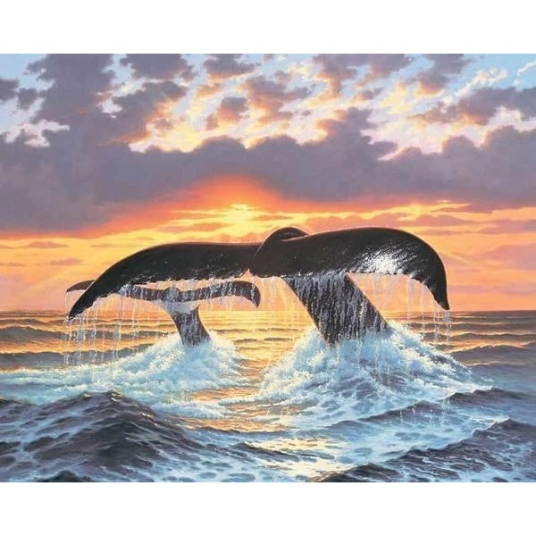 Whale Diy Paint By Numbers Kits Australia