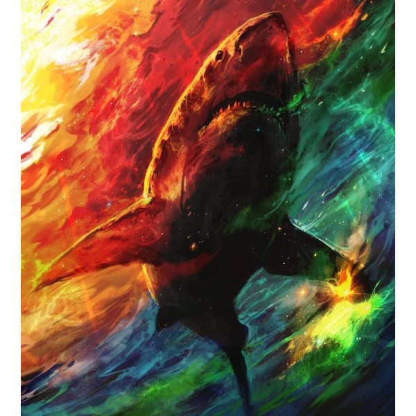 BIg Shark DIY Paint By Numbers Kits Australia