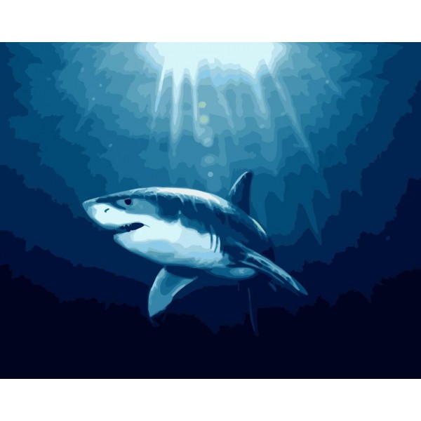 Big Shark Paint By Numbers Kits Australia