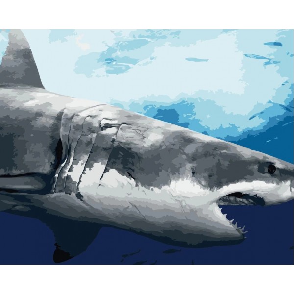 Shark Diy Paint By Numbers Kits Diy Australia