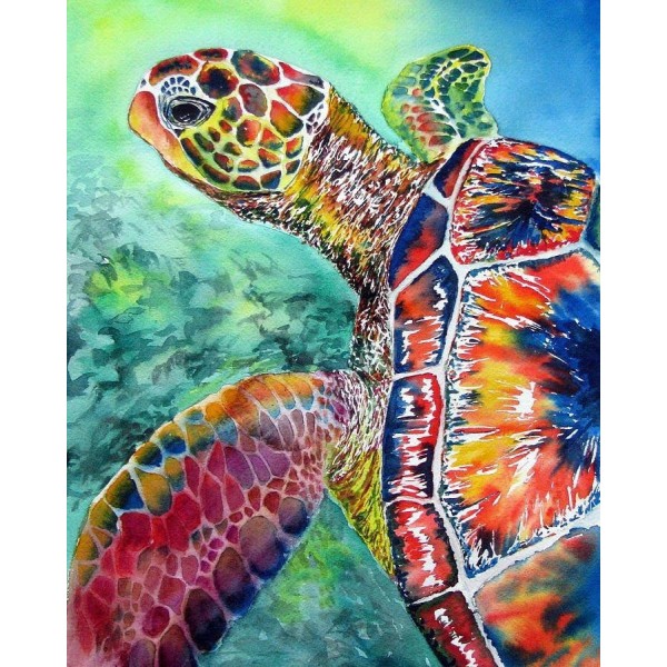 DIY Turtle Paint By Numbers Kits For Adults Australia