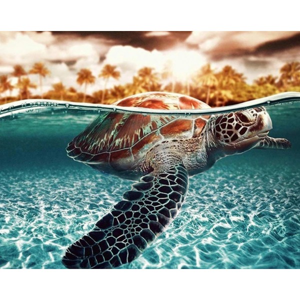 Nature Turtle Paint By Numbers Kits Diy For Adults Australia
