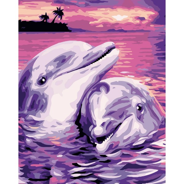 Dream Dolphin Diy Paint By Numbers Kits For Adults Australia