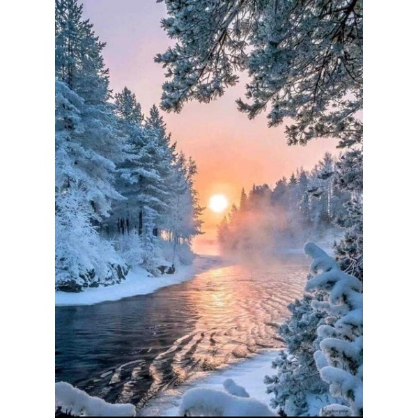 Winter Scenery Forest Paint By Numbers Kits For Adults Australia