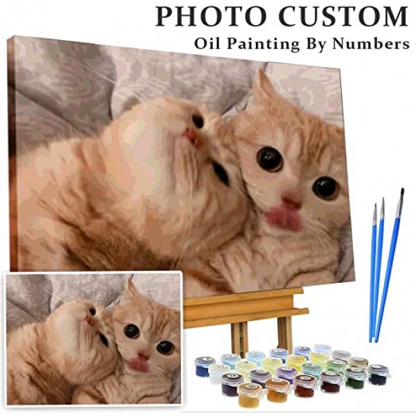 Diy Custom Photo Paint By Numbers For Cat Australia
